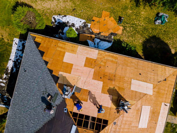 Best Local Roofing Companies  in El Cenizo, TX