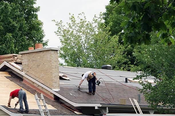 Best Roof Repair Services  in El Cenizo, TX