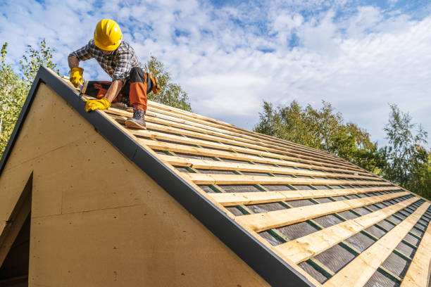 Best Gutter Installation and Roofing  in El Cenizo, TX