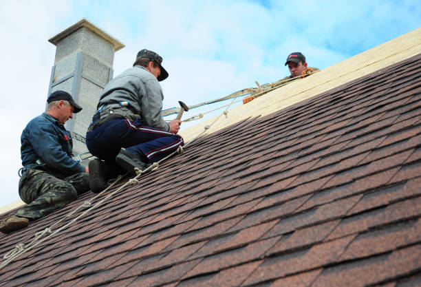 Best Emergency Roof Repair  in El Cenizo, TX