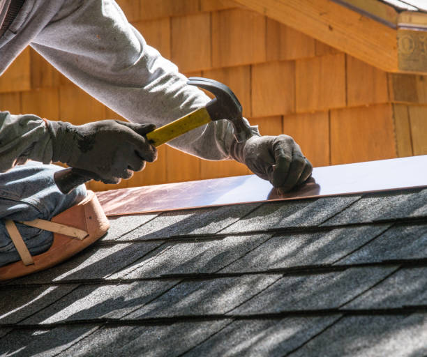 Best Roof Maintenance Services  in El Cenizo, TX
